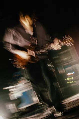 Geese © Lewis Evans