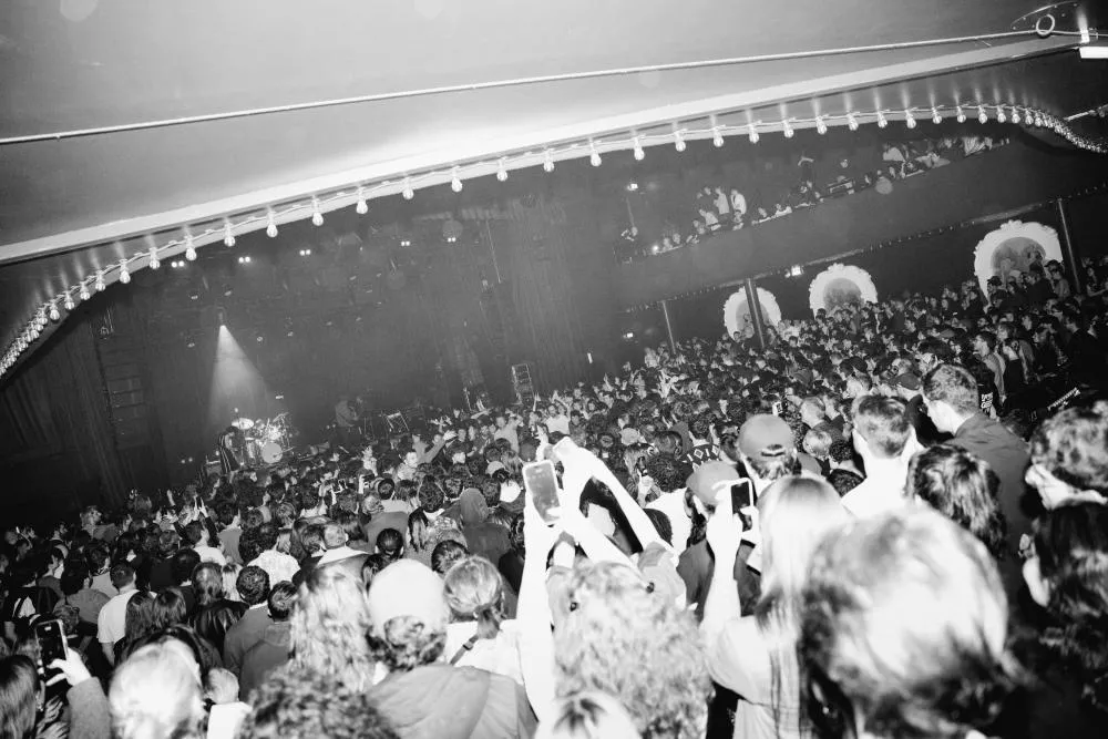 Geese © Lewis Evans