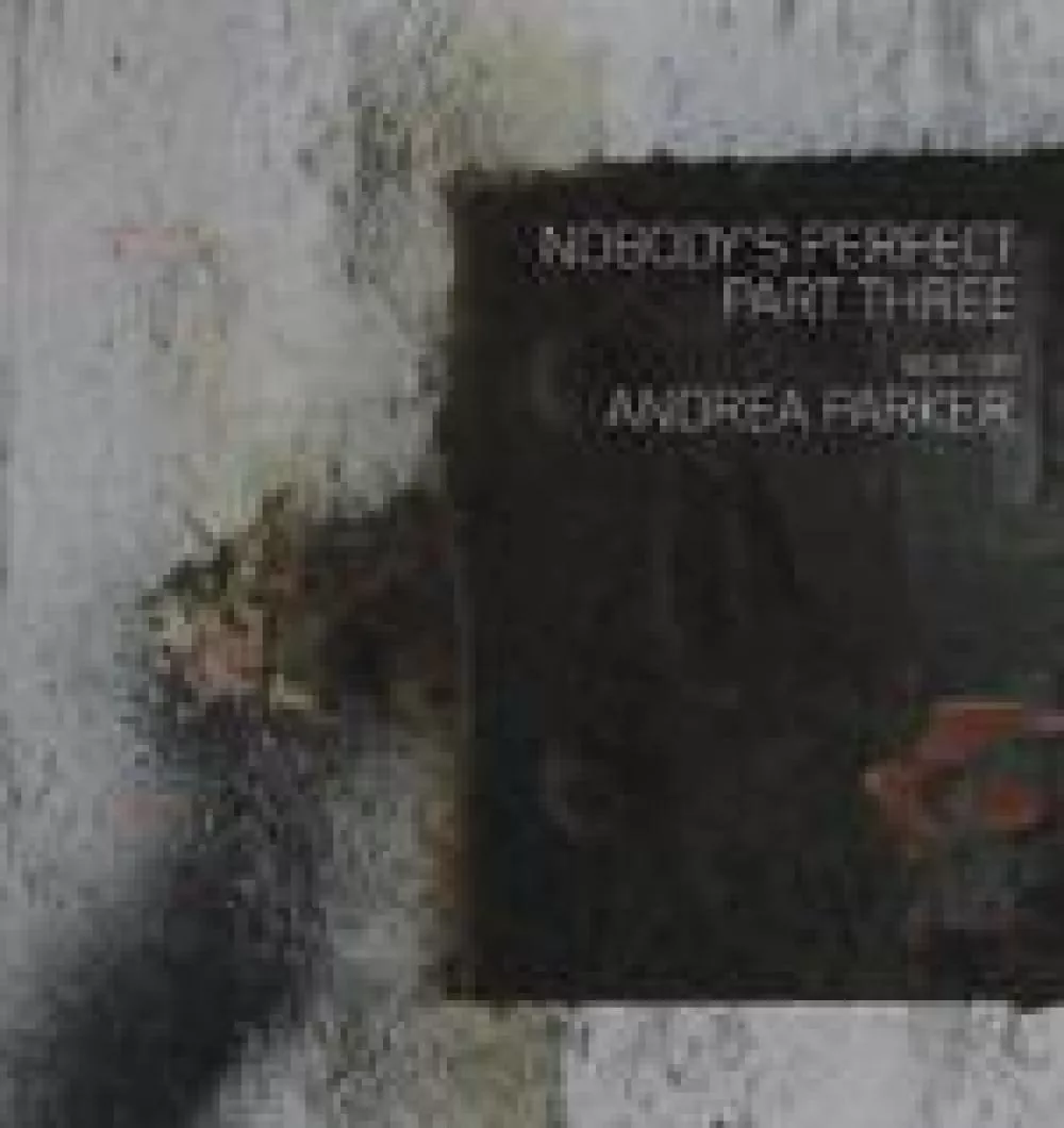 Illustration pour Chronique&nbsp;: Andrea Parker – Nobody&rsquo;s Perfect Part 3