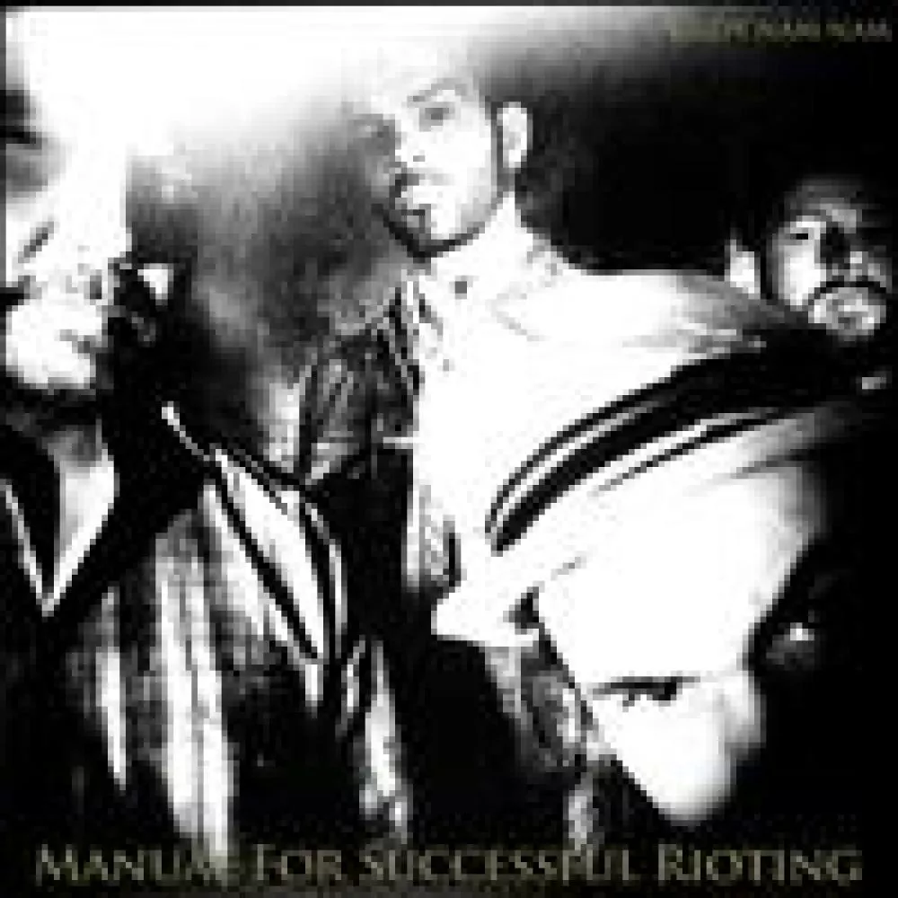 Illustration pour Chronique&nbsp;: Birdy Nam Nam – Manual For Successful Rioting