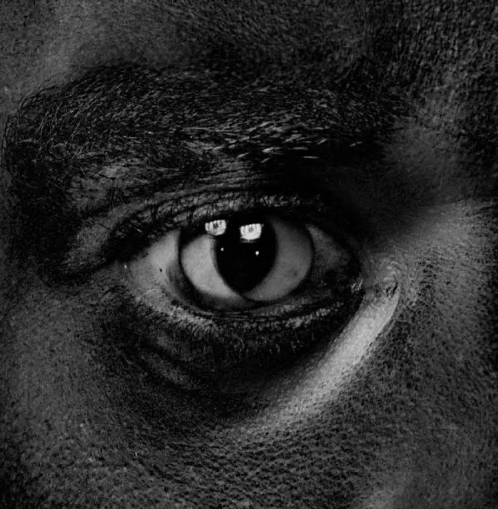 Illustration pour Chronique&nbsp;: Wiley – Evolve Or Be Extinct