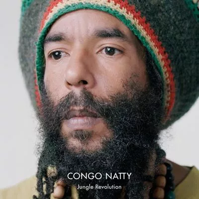 Illustration pour Chronique&nbsp;: Congo Natty – Jungle Revolution