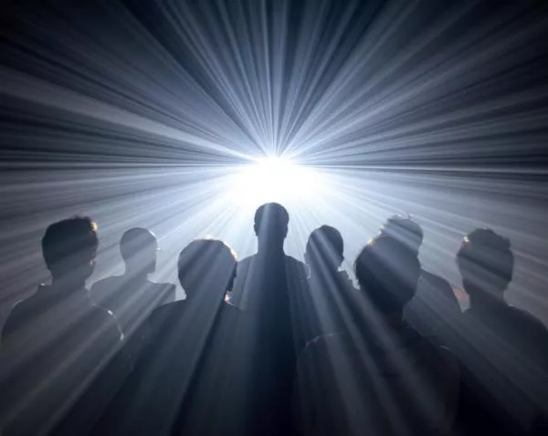 Illustration pour Fauve, société anonyme