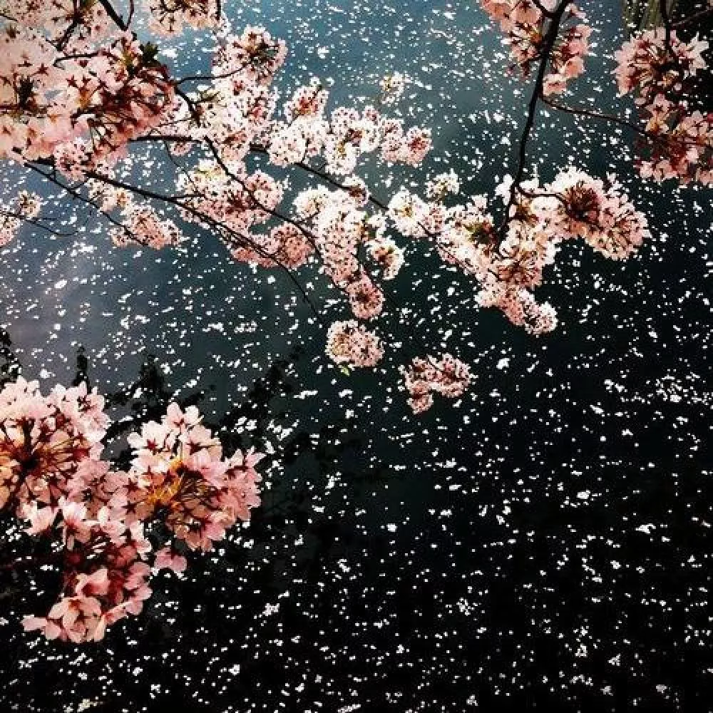 Illustration pour La playlist du mois: avril &rsquo;15