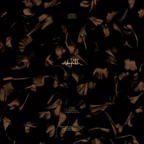 Illustration pour Ada Kaleh – Dene Descris