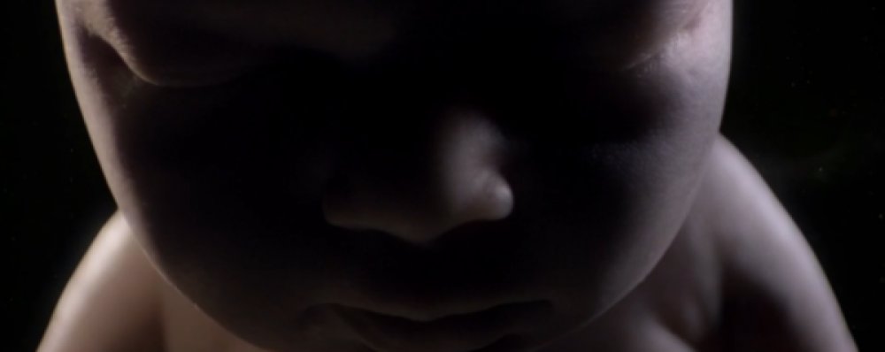 Illustration pour Son Lux vient de sortir un clip cosmique et organique