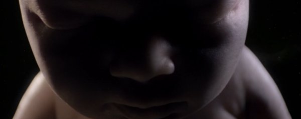 Illustration pour Son Lux vient de sortir un clip cosmique et organique