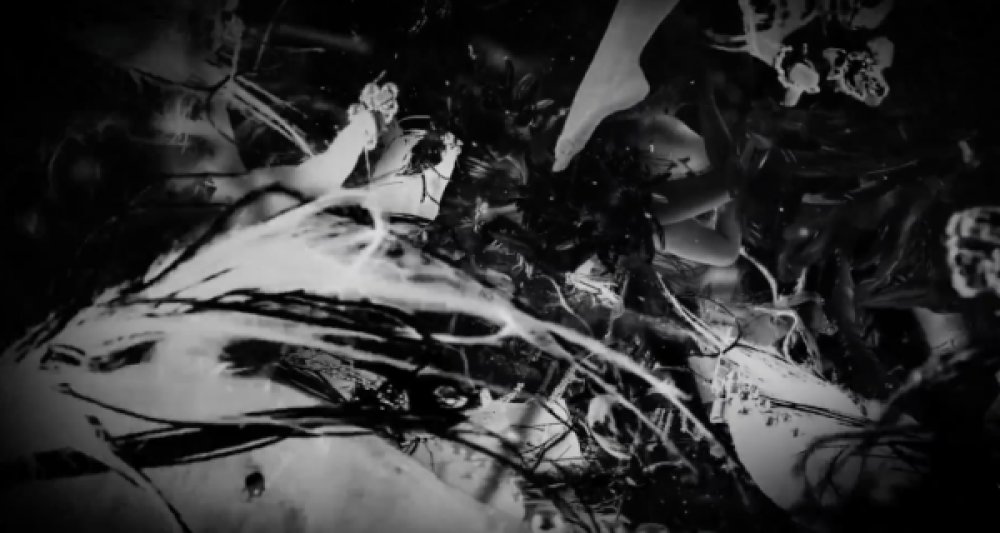 Illustration pour Un compte à rebours dévoile Canine, le mystère de la semaine