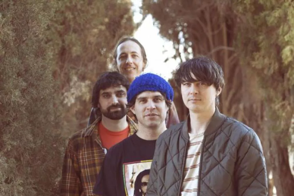 Illustration pour Animal Collective contre une loi anti-LGBTQ