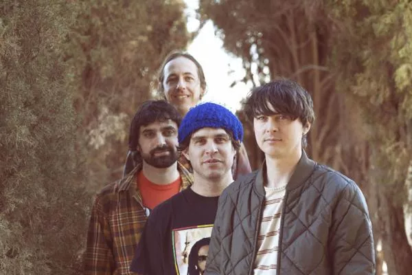 Illustration pour Animal Collective contre une loi anti-LGBTQ