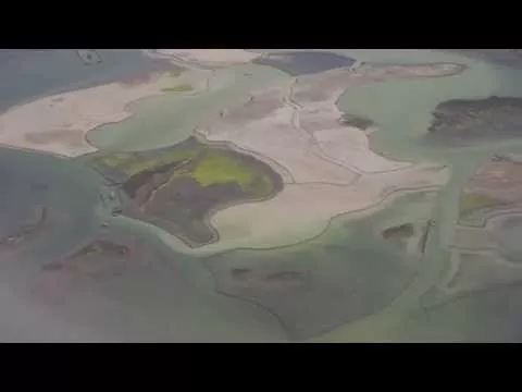 Illustration pour « Lies », le clip très étrange du DJ italien Bottin