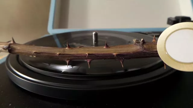 Illustration pour LolNews&nbsp;: Un brillant artiste joue un vinyle avec des épines de roses