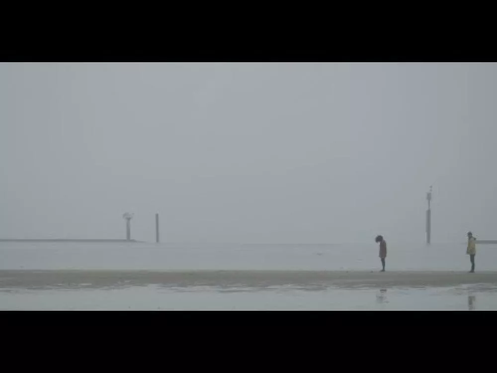 Illustration pour Clip: Son Lux – « Alternate World »