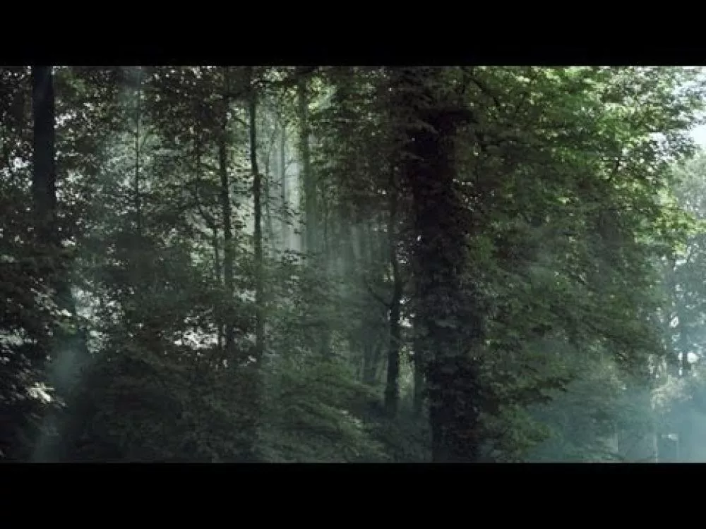 Illustration pour Clip&nbsp;: Nasser – « The World Is Ours »