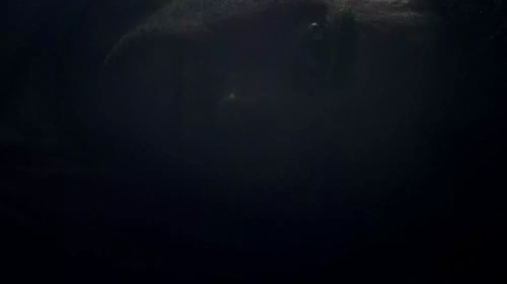 Illustration pour Clip&nbsp;: Sisyphus – « Take Me »