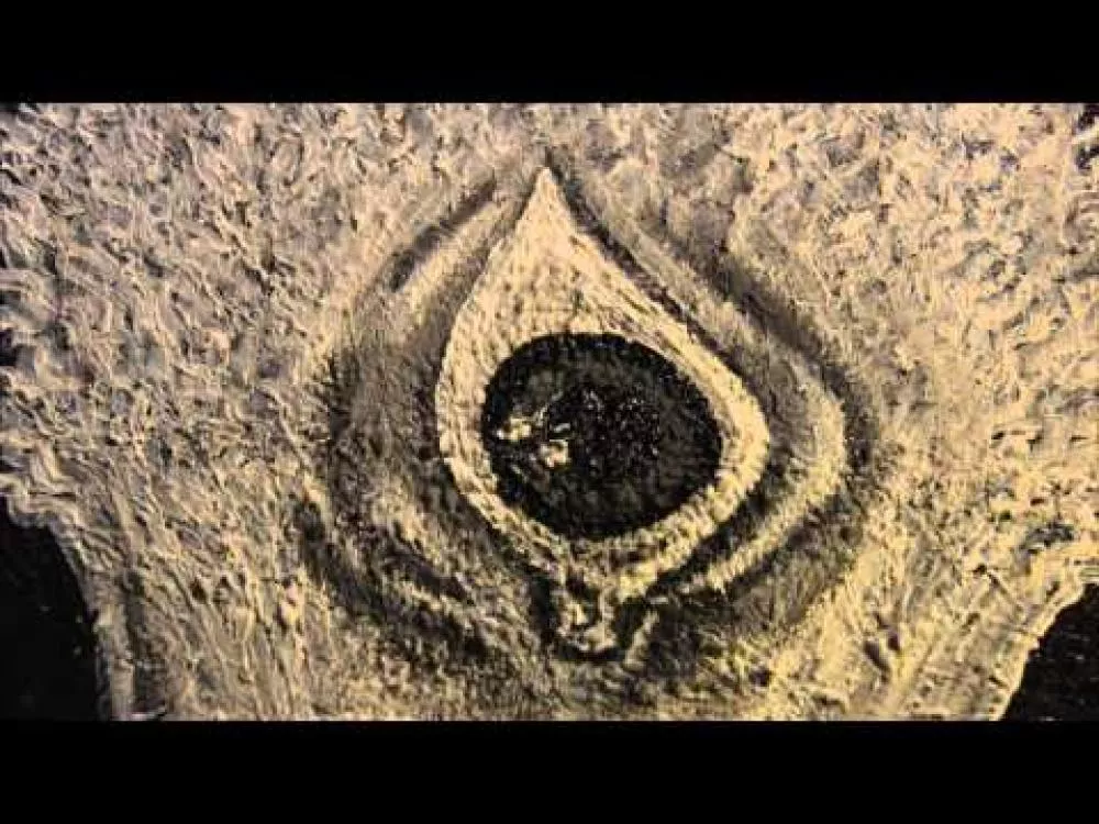 Illustration pour Clip: Salomon Faye – « Quest »