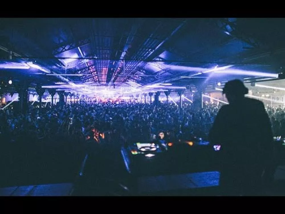 Illustration pour The Peacock Society&nbsp;: la vidéo officielle du festival