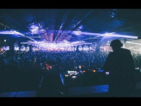 Illustration pour The Peacock Society&nbsp;: la vidéo officielle du festival