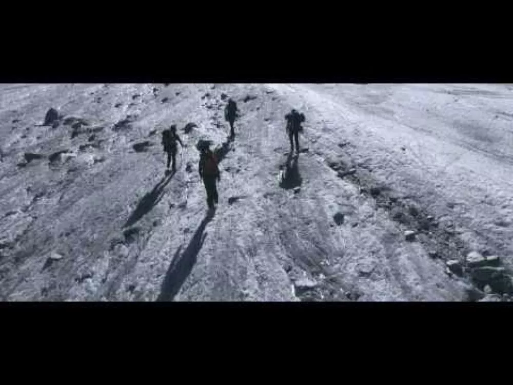 Illustration pour Clip&nbsp;: Gush – « Siblings »