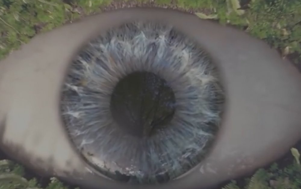 Illustration pour Deux morceaux en écoute et un nouvel album pour Empire of the Sun