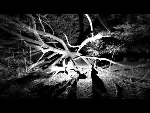 Illustration pour Clip&nbsp;: Ibeyi – « Oya »