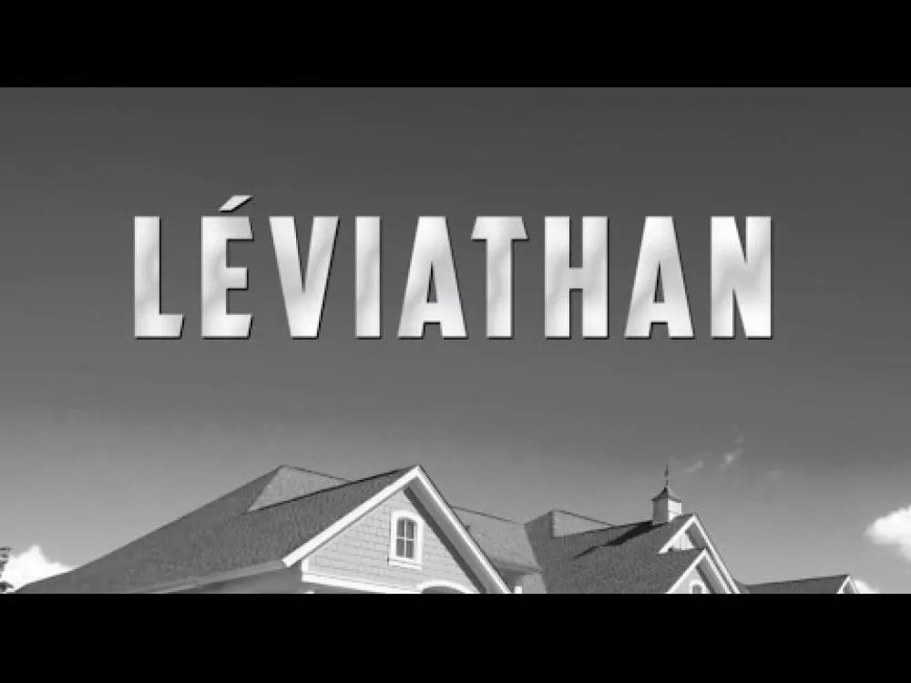 Illustration pour Flavien Berger a sorti un joli clip en noir et blanc pour « Leviathan »
