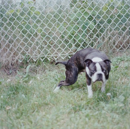 Illustration pour Kaytranada offre une mixtape en téléchargement gratuit