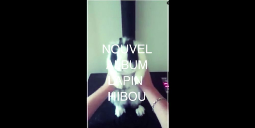 Illustration pour Stupeflip fait une dédicace à toutes les zouzs