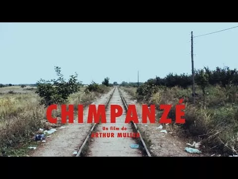 Illustration pour « Chimpanzé », le clip-documentaire d&rsquo;Odezenne sur les migrants
