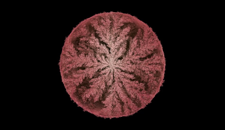 Illustration pour L&rsquo;album « Emergence » de Max Cooper va avoir son édition remixée