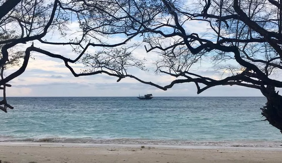 Illustration pour En direct du Tao Festival en Thaïlande