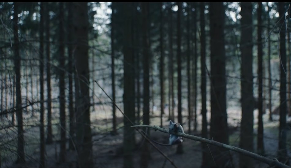 Illustration pour La playlist du mois&nbsp;: mai &rsquo;17