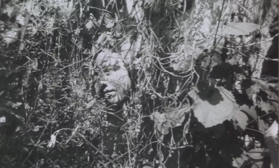 Illustration pour DJ Tennis et le producteur Michael Gracioppo lance Eraclea, un label dédié à l&rsquo;ambient et au post-rock