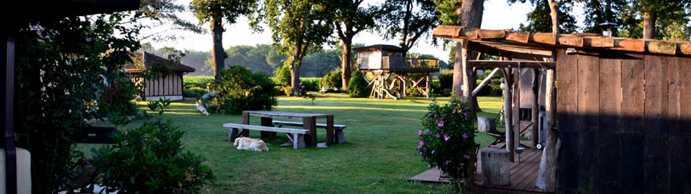 Illustration pour lodge_natural-surf-lodge_2