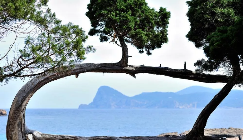 Illustration pour Remedy State&nbsp;: la première retraite de remise en forme dédiée au DJs