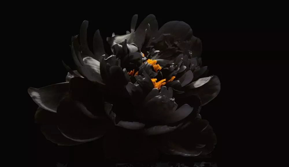 Illustration pour Ça sort aujourd&rsquo;hui&nbsp;: vendredi 30 novembre