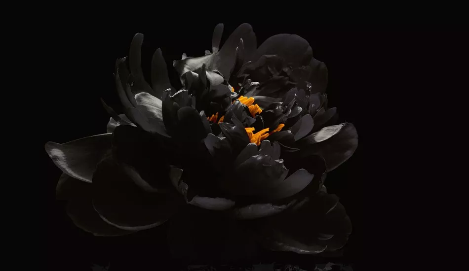 Illustration pour Ça sort aujourd&rsquo;hui&nbsp;: vendredi 30 novembre