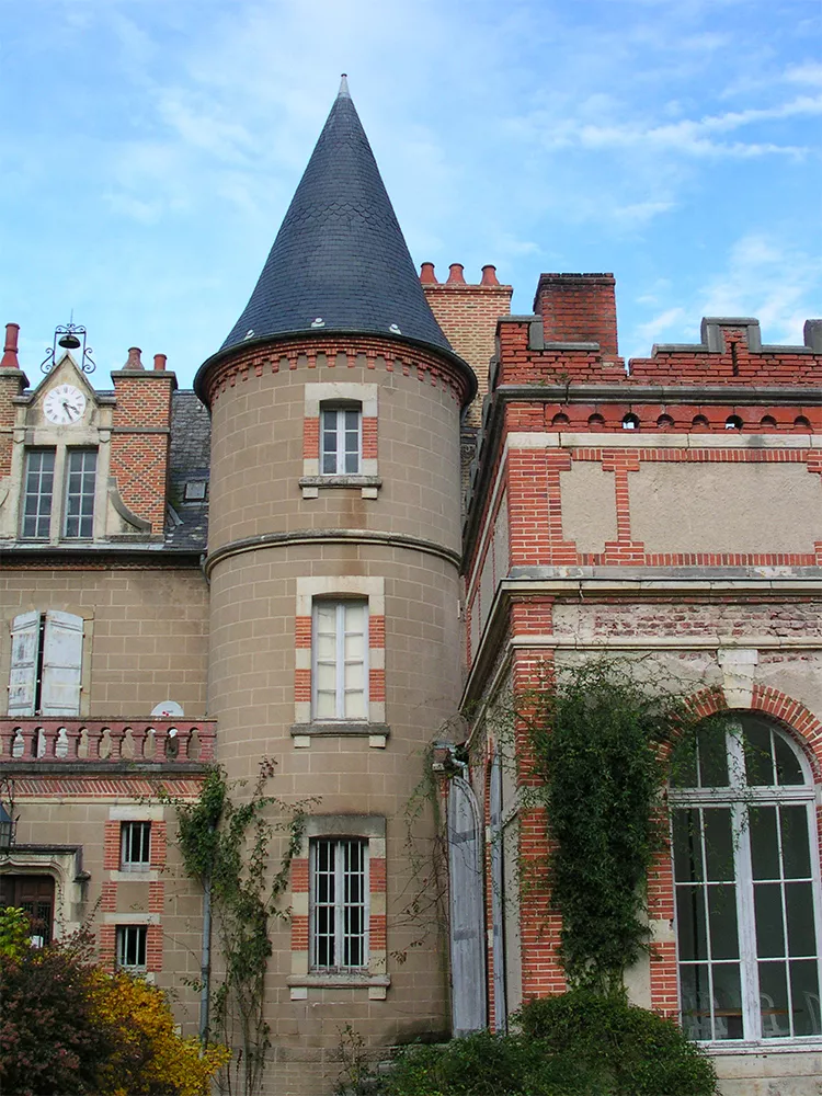 Illustration pour balaine