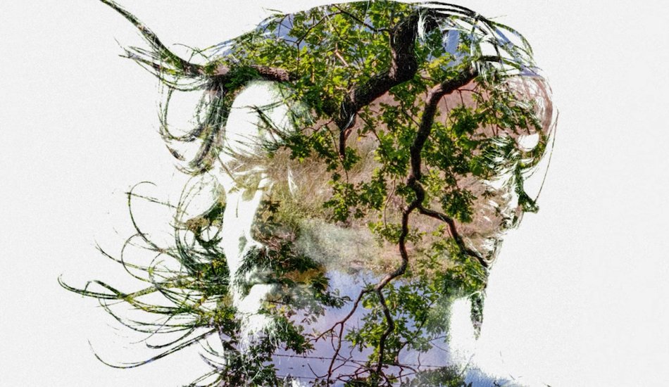 Illustration pour En écoute&nbsp;: « Old Graffiti », le nouveau single de Bibio