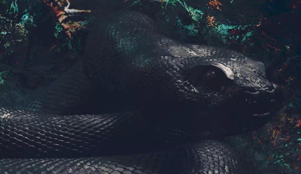 Illustration pour Ça sort aujourd&rsquo;hui aujourd&rsquo;hui&nbsp;: vendredi 1er mars