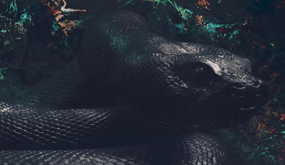 Illustration pour Ça sort aujourd&rsquo;hui aujourd&rsquo;hui&nbsp;: vendredi 1er mars