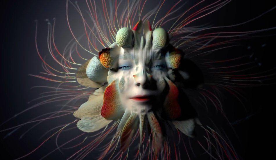 Illustration pour A voir&nbsp;: Björk dévoile le clip organique et floral de « Tabula Rasa »