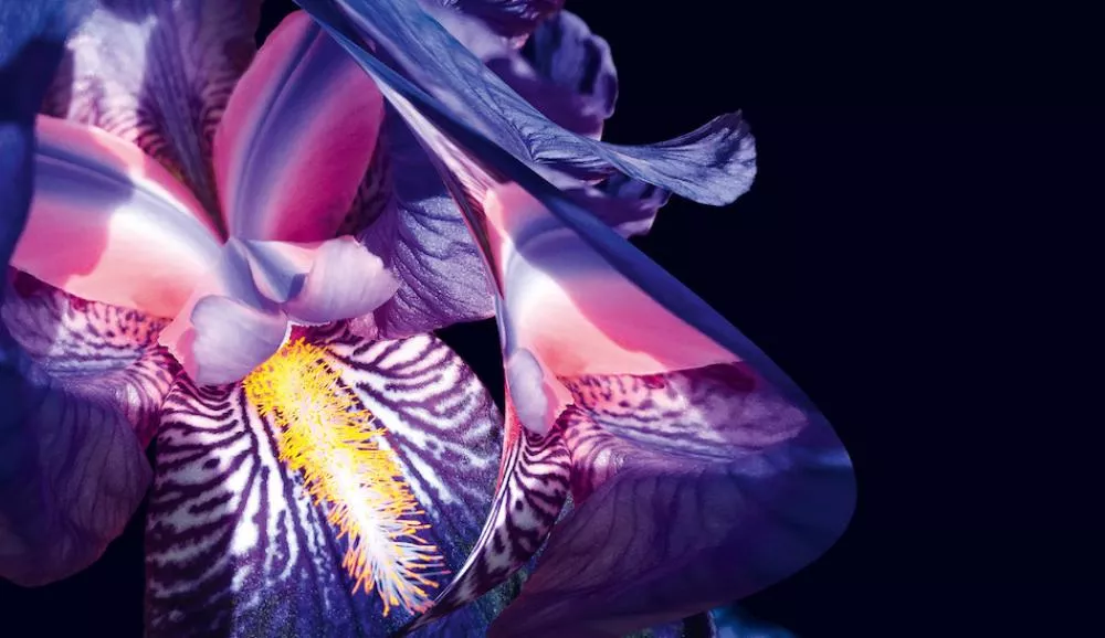 Illustration pour Ça sort aujourd&rsquo;hui&nbsp;: vendredi 22 novembre