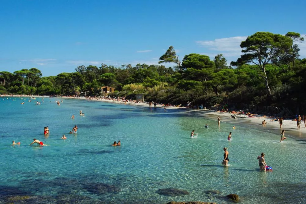 Illustration pour porquerolles