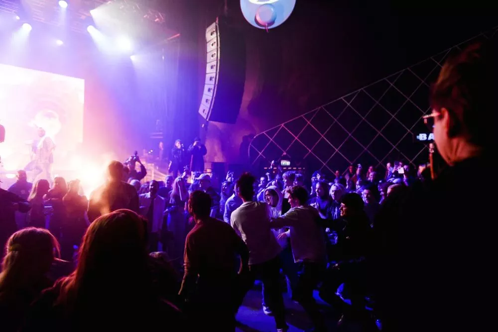 Illustration pour Ingrid_svelland_Stemning_Pasha