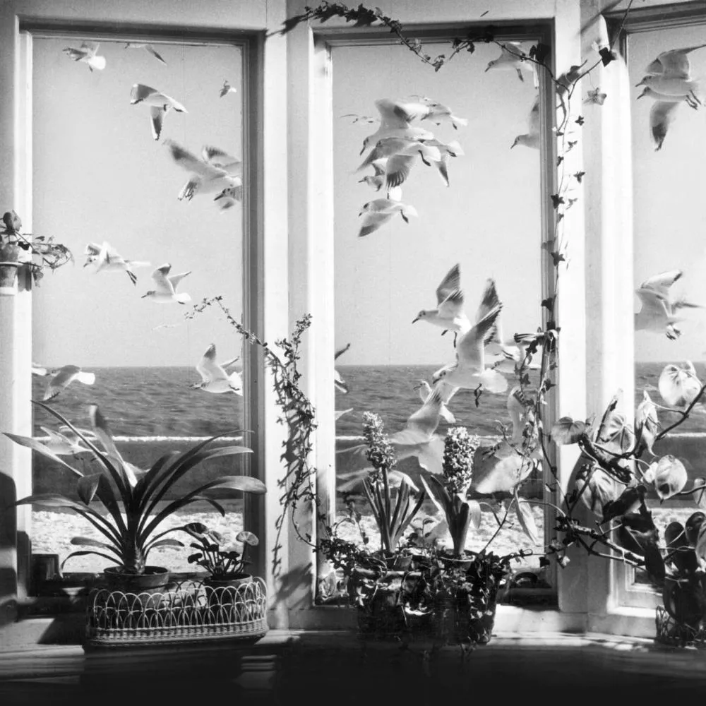 Illustration pour Press_Pic_0125asw_modeselektor_2018_photo_birgit_kaulfuss