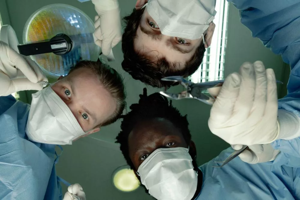 Illustration pour black midi nous livre ses “cavalcovers” de Taylor Swift ou King Crimson