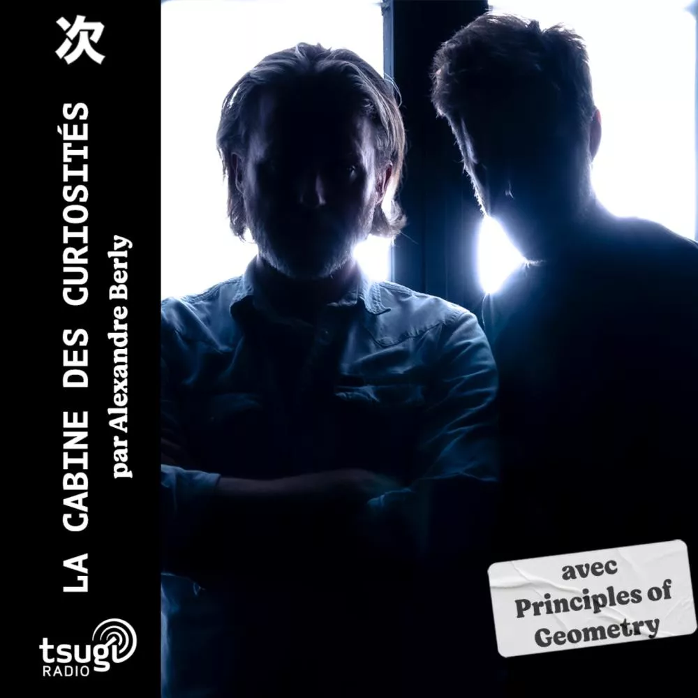 Illustration pour La cabine des curiosités avec Principles of Geometry