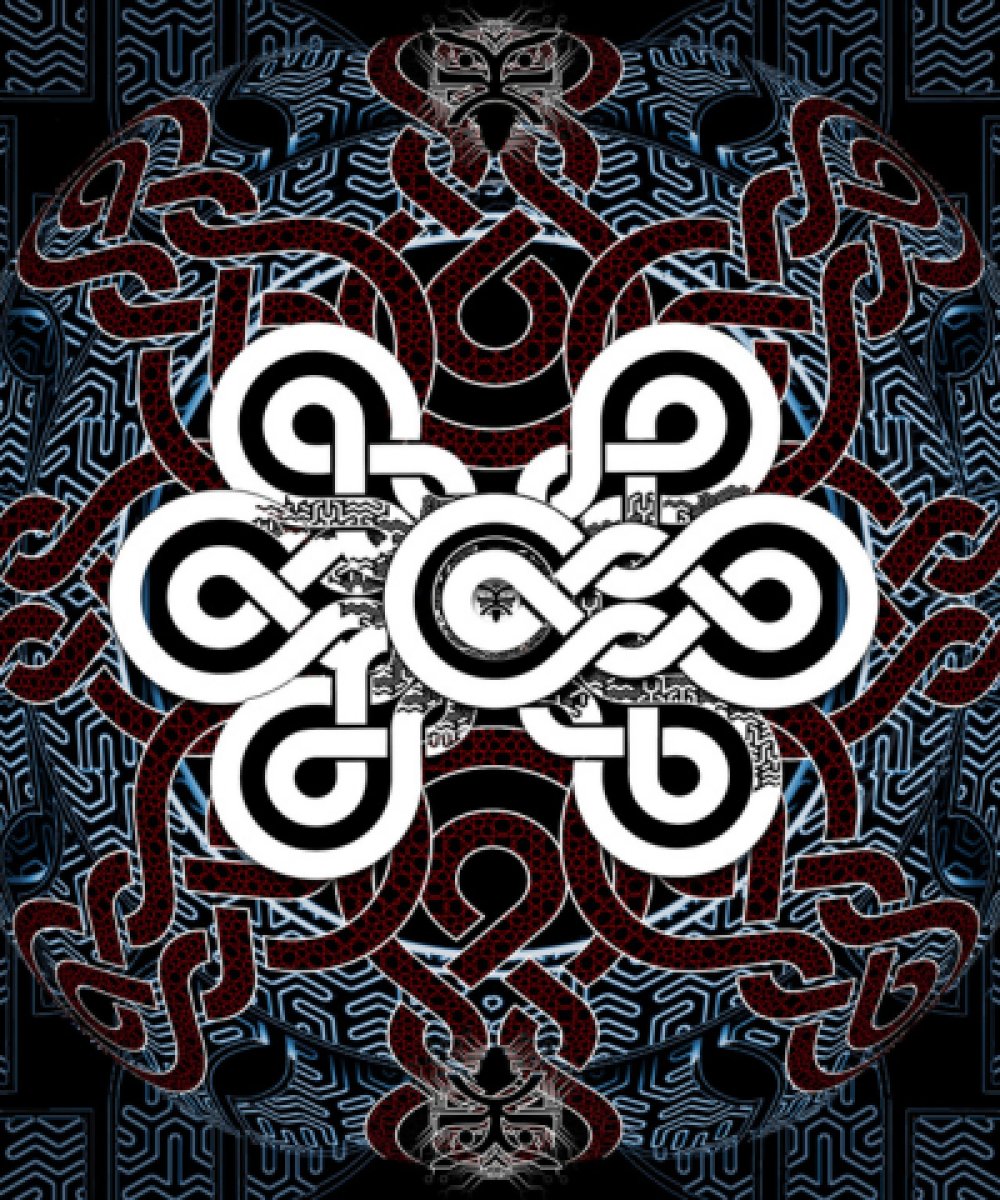 dharma techno festival