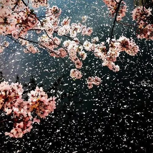 Illustration pour La playlist du mois: avril &rsquo;15